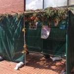 The CJHS Sukkah on September 17, 2021 The CJHS Sukkah on September 17, 2021